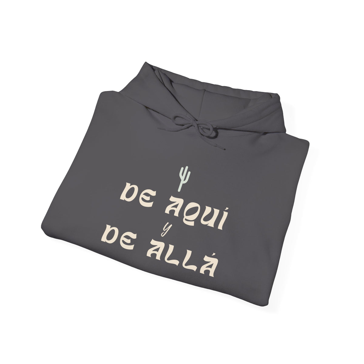 De Aquí y De Allá Hooded Sweatshirt - Light Logo